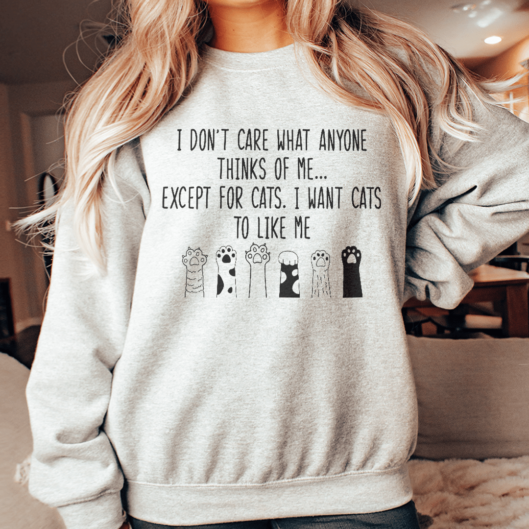 I Want Cats To Like Me